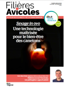 Filières avicoles, au cœur des élevages et de la transformation