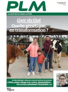 PLM