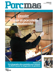Porcmag N° 593