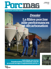 Porcmag N° 594