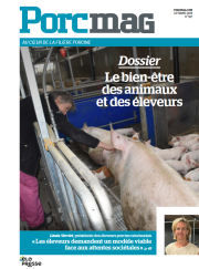 Porcmag N° 597